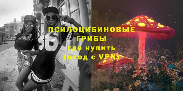 шишки Алзамай