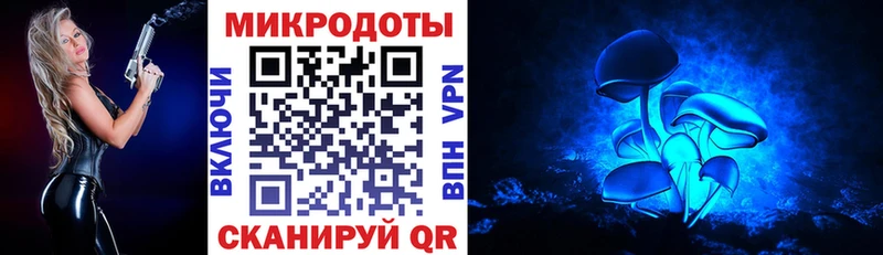 Галлюциногенные грибы Psilocybe  Таруса 